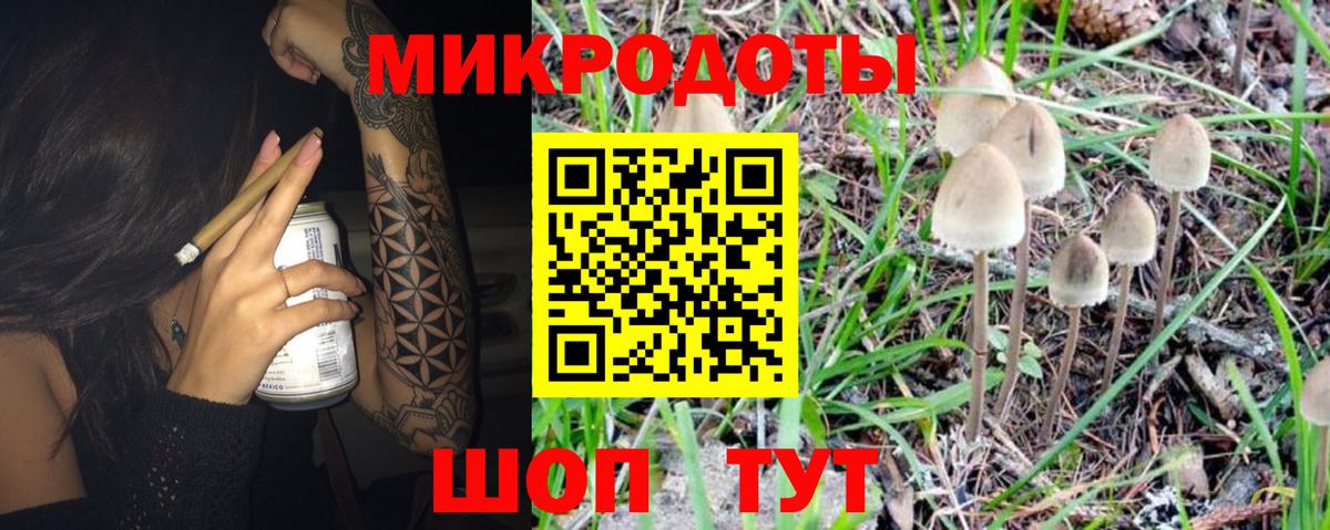 Галлюциногенные грибы прущие грибы Вязьма